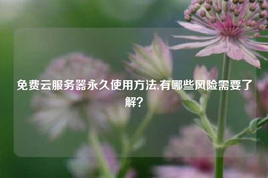 免费云服务器永久使用方法,有哪些风险需要了解？