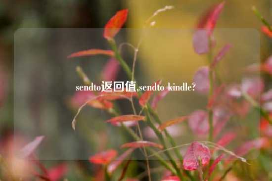 sendto返回值,sendto kindle?