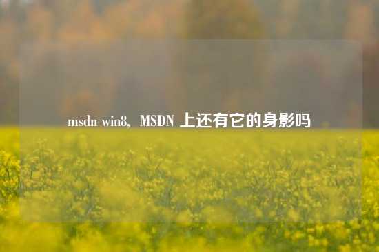 msdn win8,  MSDN 上还有它的身影吗