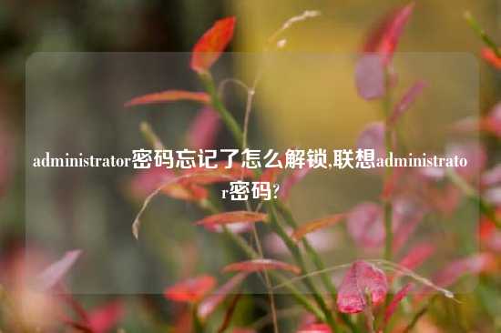 administrator密码忘记了怎么解锁,联想administrator密码?