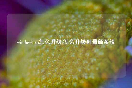windows xp怎么升级,怎么升级到最新系统