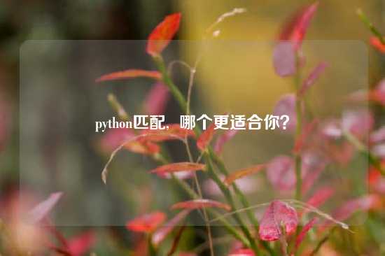 python匹配,  哪个更适合你？