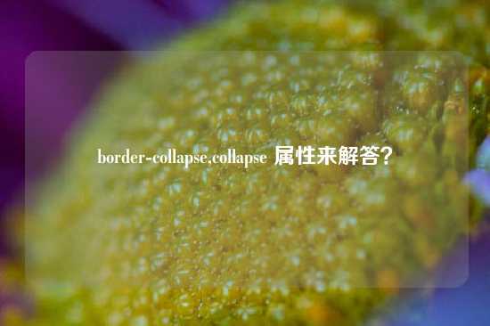 border-collapse,collapse 属性来解答？