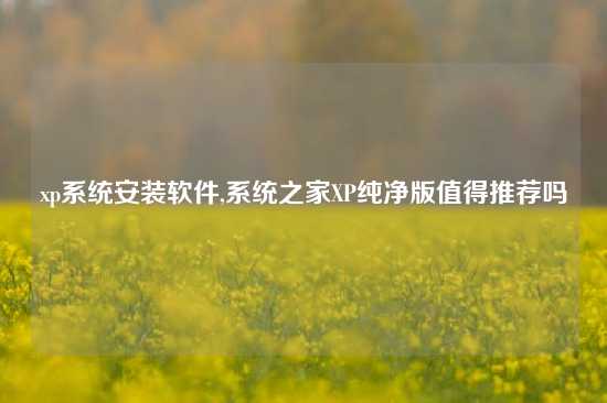 xp系统安装软件,系统之家XP纯净版值得推荐吗