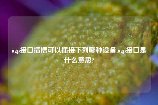 agp接口插槽可以插接下列哪种设备,agp接口是什么意思?