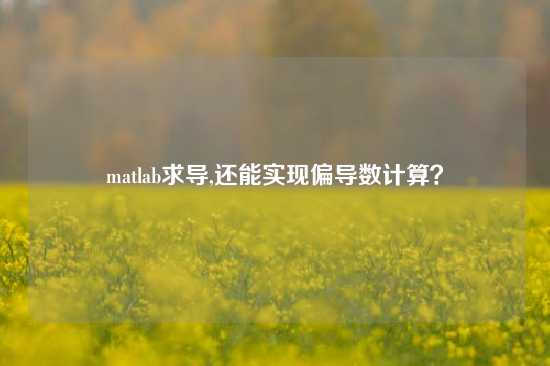matlab求导,还能实现偏导数计算？