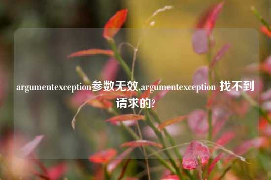 argumentexception参数无效,argumentexception 找不到请求的?