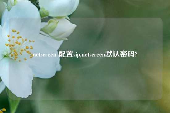 netscreen 配置sip,netscreen默认密码?