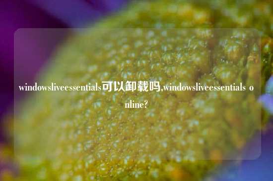 windowsliveessentials可以卸载吗,windowsliveessentials online?