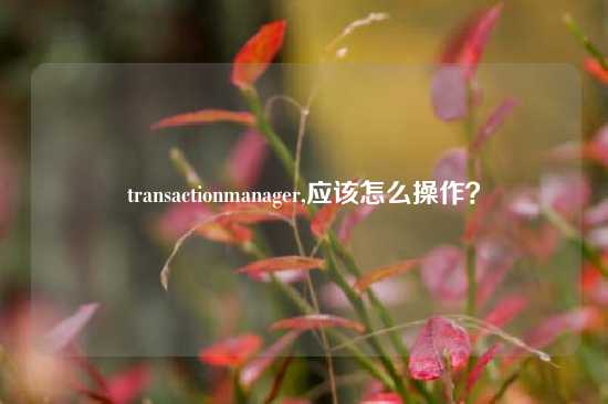 transactionmanager,应该怎么操作？