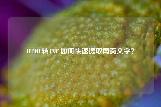 HTML转TXT,如何快速提取网页文字？