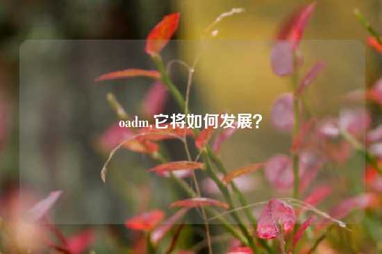 oadm,它将如何发展？