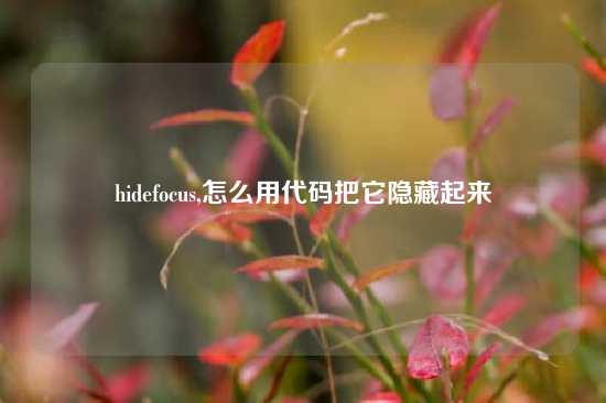 hidefocus,怎么用代码把它隐藏起来