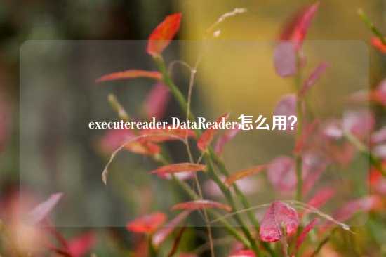 executereader,DataReader怎么用？