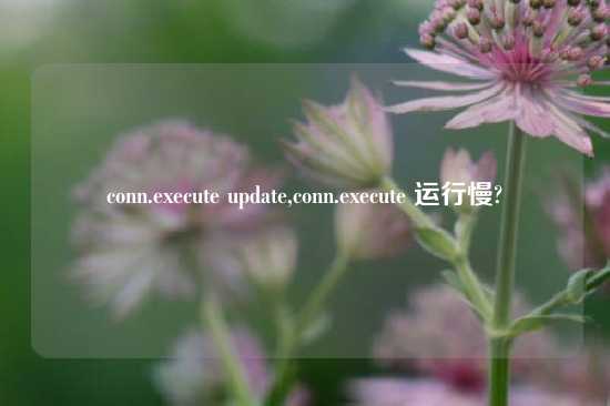 conn.execute update,conn.execute 运行慢?