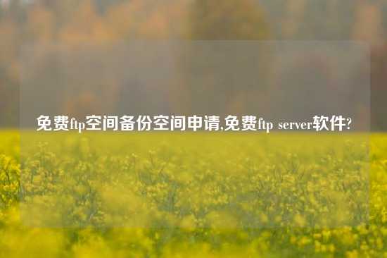 免费ftp空间备份空间申请,免费ftp server软件?