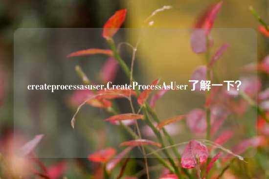 createprocessasuser,CreateProcessAsUser了解一下？