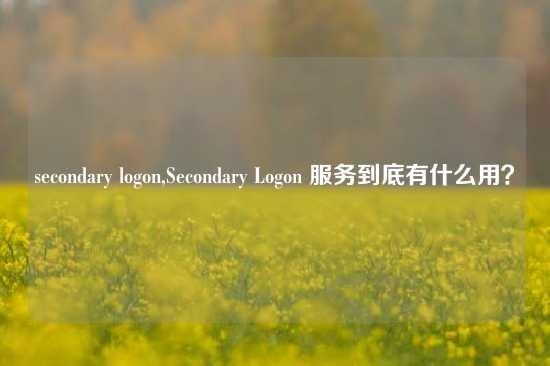 secondary logon,Secondary Logon 服务到底有什么用？