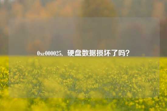 0xc000025,  硬盘数据损坏了吗？
