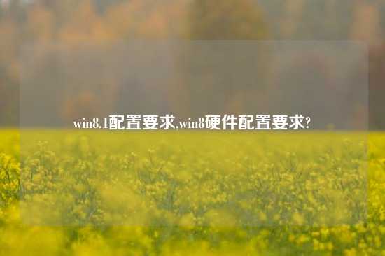 win8.1配置要求,win8硬件配置要求?
