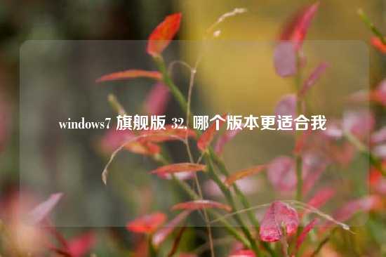windows7 旗舰版 32, 哪个版本更适合我