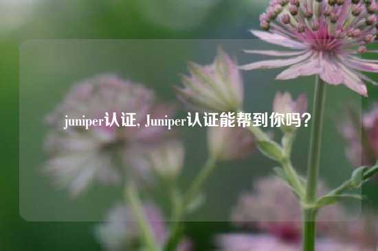 juniper认证, Juniper认证能帮到你吗？