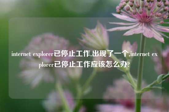 internet explorer已停止工作,出现了一个,internet explorer已停止工作应该怎么办?