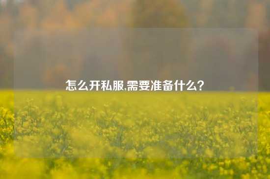 怎么开私服,需要准备什么？