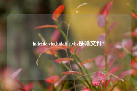 hidefile.vbs,hidefile.vbs是啥文件?