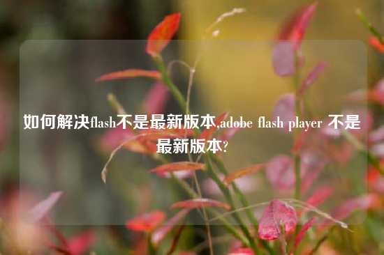 如何解决flash不是最新版本,adobe flash player 不是最新版本?
