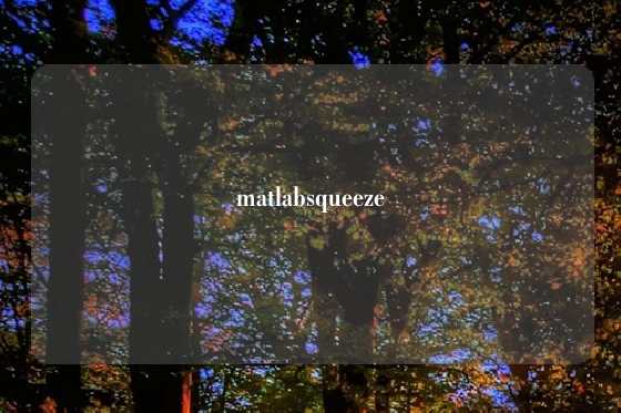matlabsqueeze