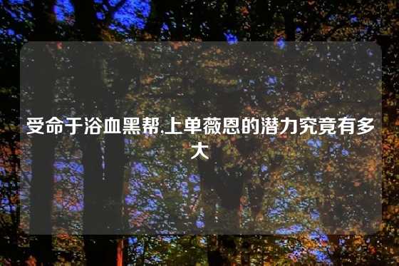 受命于浴血黑帮,上单薇恩的潜力究竟有多大