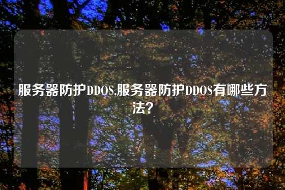 服务器防护DDOS,服务器防护DDOS有哪些方法？