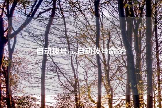自动拨号vps,自动拨号命令?