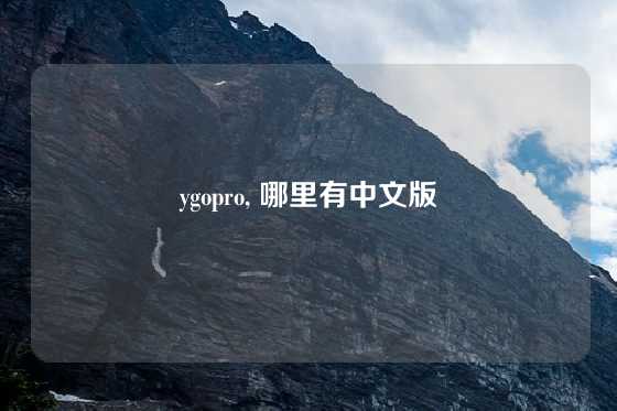 ygopro, 哪里有中文版