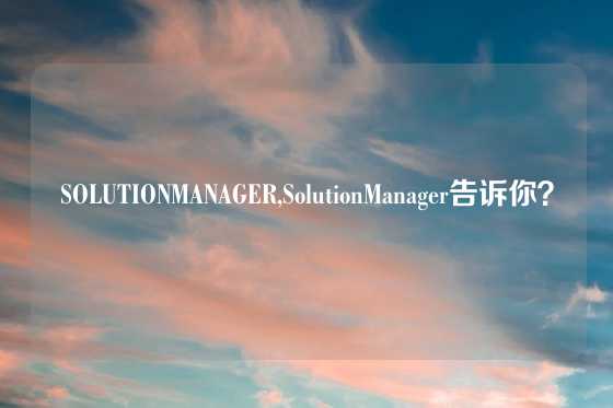 SOLUTIONMANAGER,SolutionManager告诉你？