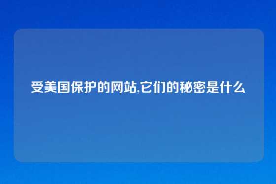 受美国保护的网站,它们的秘密是什么