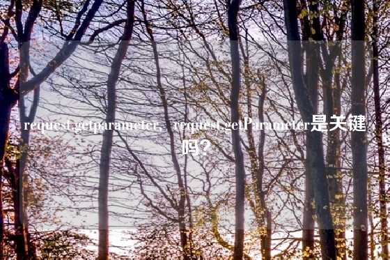 request.getparameter,  request.getParameter是关键吗？