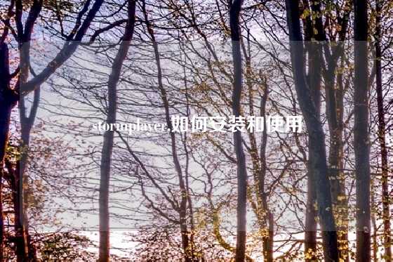 stormplayer,如何安装和使用