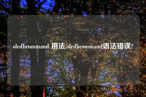 oledbcommand 用法,oledbcommand语法错误?