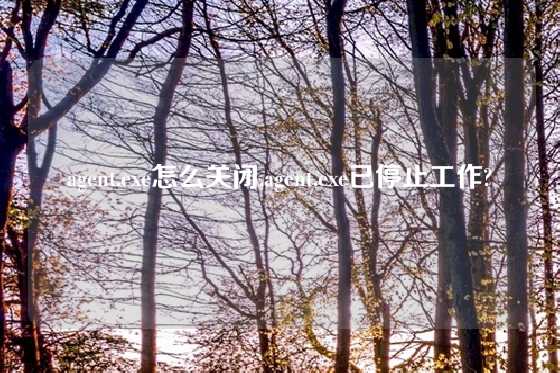 agent.exe怎么关闭,agent.exe已停止工作?