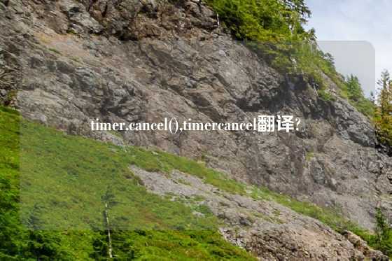 timer.cancel(),timercancel翻译?