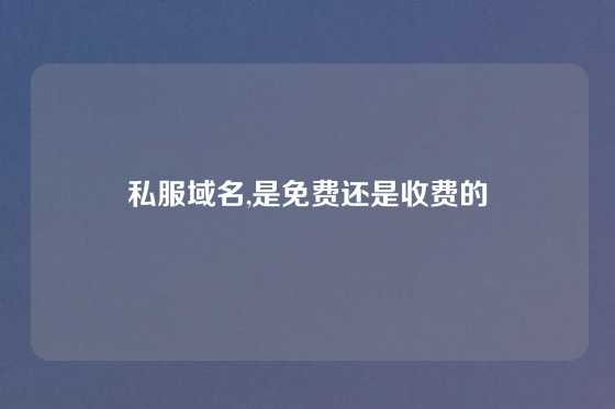 私服域名,是免费还是收费的