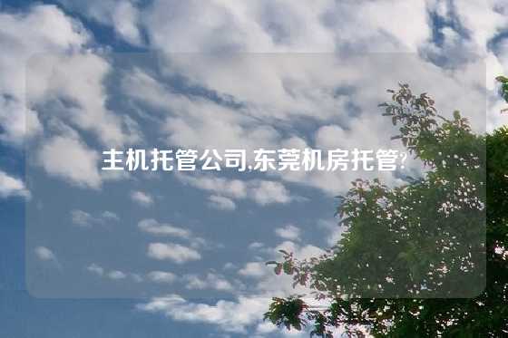 主机托管公司,东莞机房托管?
