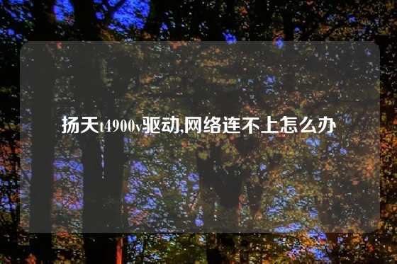 扬天t4900v驱动,网络连不上怎么办