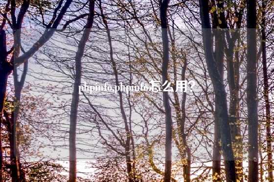 phpinfo,phpinfo怎么用？