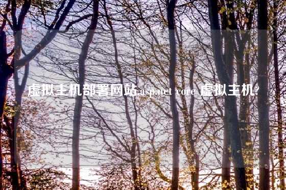 虚拟主机部署网站,asp.net core 虚拟主机?