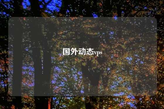 国外动态vps