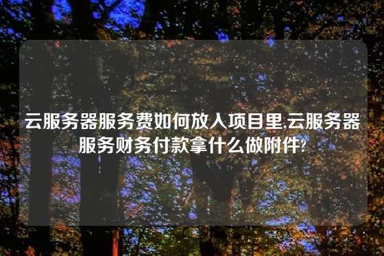 云服务器服务费如何放入项目里,云服务器服务财务付款拿什么做附件?
