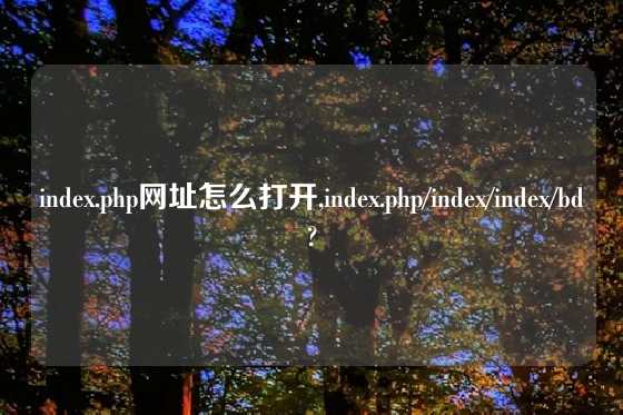 index.php网址怎么打开,index.php/index/index/bd?